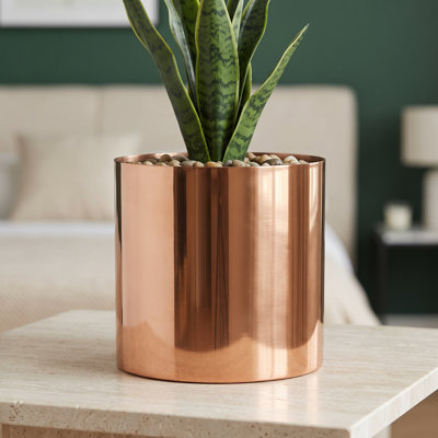 Indoor Cachepot