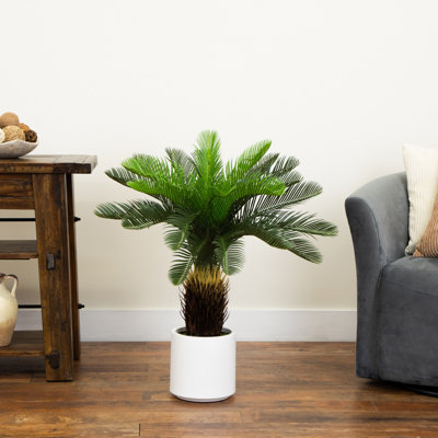 30In. UV Resistant Artificial Cycas Palm Tree In White Decorative Planter (Indoor/Outdoor)