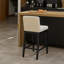 Counter Stool with Solid Wood Frame-321845685