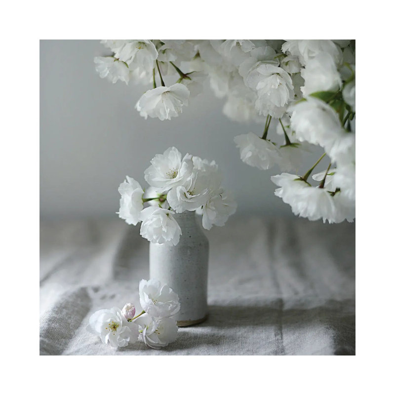 Baby Blooms by Sarah Gardner - Print on Canvas, Wrapped Canvas, 45.72 cm H x 45.72 cm W x 1.91 cm D