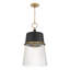 1 luminaire suspendu-113677057