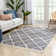 Loop-De-Loop Geometric Synthetic Area Rug