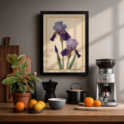 Purple Iris Study Botanical - Framed Print