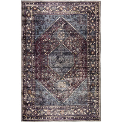 Jerzy Oriental Indoor / Outdoor Rug