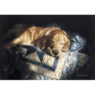 " Snooze " by Suellen Ross