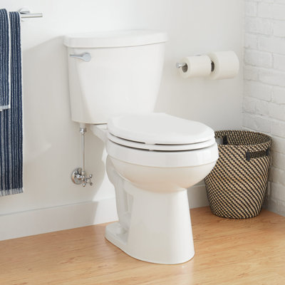 Signature Hardware Bradenton Two Piece Round Toilet with 10" Rough In  16" Bowl Height