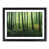 Black Framed