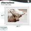 «Shaggy Highland Cow & Clouds», reproduction encadrée sous verre, conception de CAD Designs-148070972-148070963