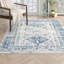 Lake City Oriental Area Rug-10570829-10570831