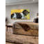 Hush Puppy by Tori Campisi - Wrapped Canvas Painting-1650595634