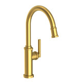 Heaney Single Handle Pull Down Kitchen Faucet