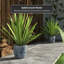 Ceramic Planter-2018868928