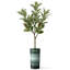 Arbre à fleurs artificiel rayé artificiel en soie artificielle (pot et arbre)-104345558