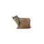 Raccoon Statue