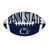 Penn State University