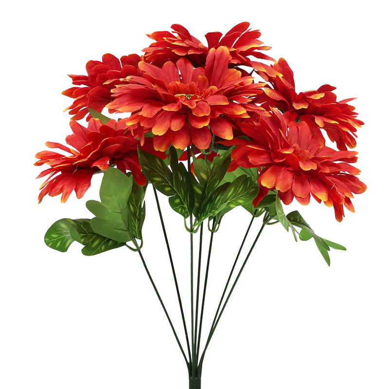Gerbera Daisy Bushes, Orange