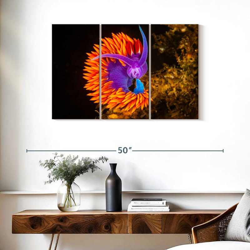 Spanish Shawl Nudibranch, 24" H x 38" W
