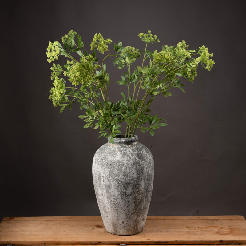 Anastasija Arrangement