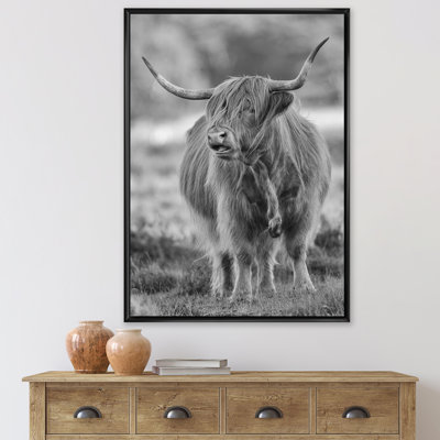 " Close Up View Of Bull "