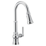Paterson 3 In 1 Water Filtration Pulldown Kitchen Faucet