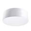 Plastic Flush Mounted Sconce-61834194