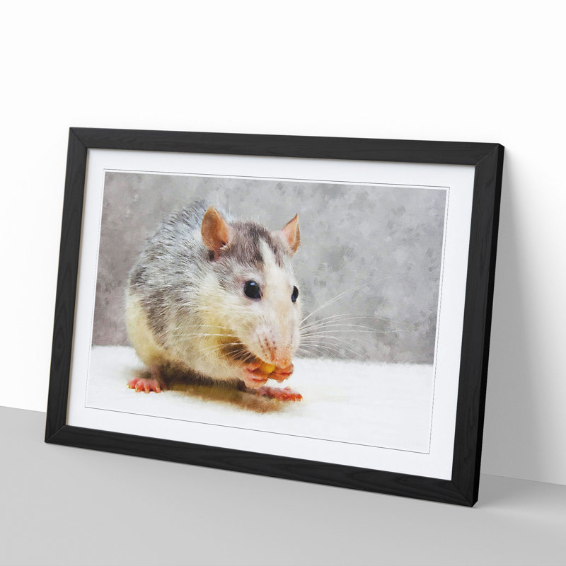 Rat - Framed Print, Black Framed, 36cm H x 48cm W x 2cm D