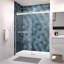 Porte de douche à dérivation-112984386