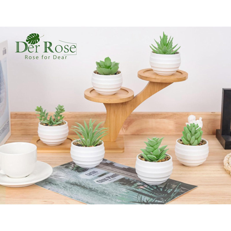 Paquet de 6 plantes artificielles succulentes artificielles pour la décoration intérieure