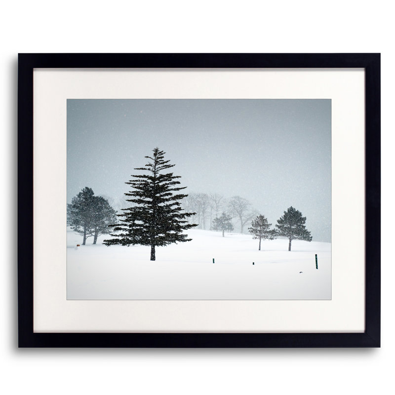 Valentines Day Snow Print by Tom Kostes, Black Framed Paper, 16" H x 20" W