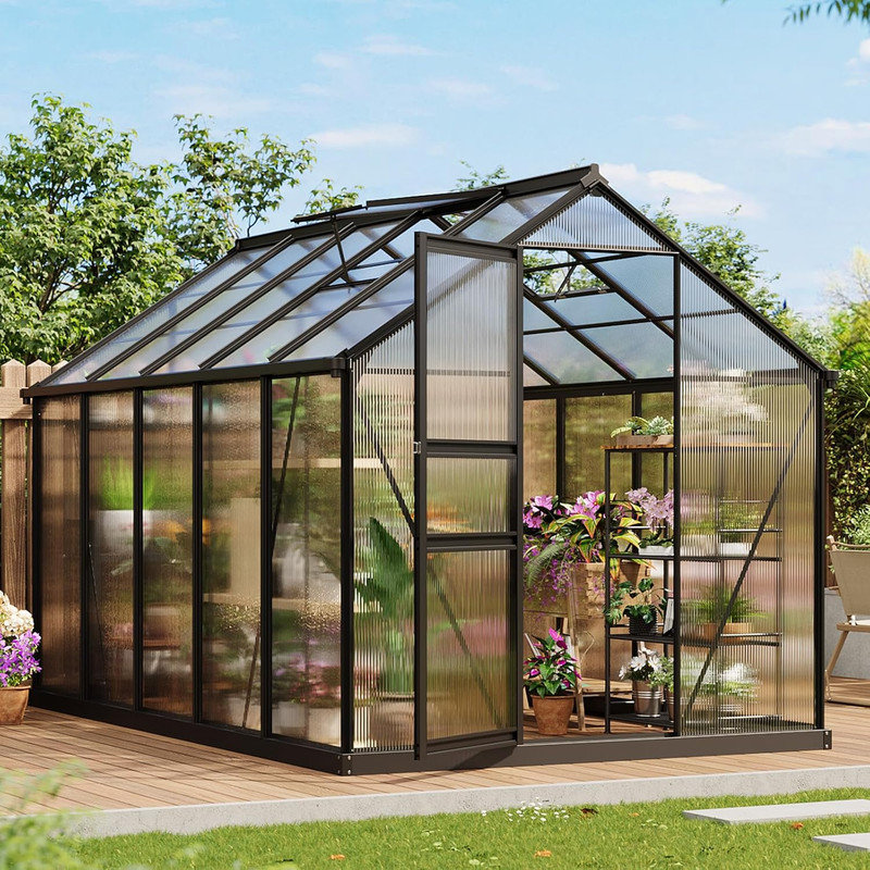 Serre en polycarbonate durable avec cadre en aluminium, évent de toit réglable et porte verrouillable pour utilisation dans le jardin et le patio