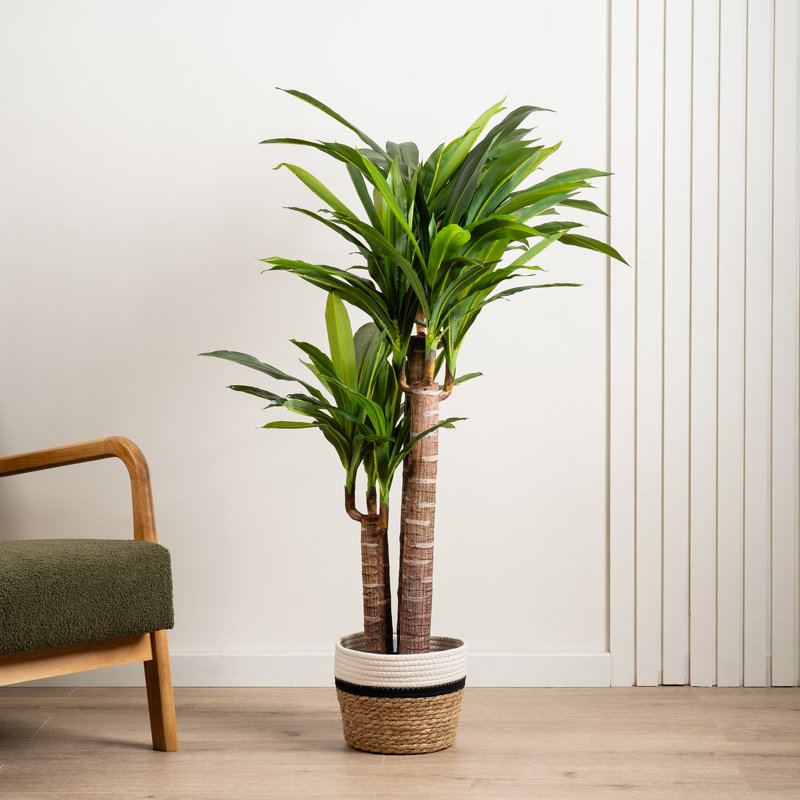 120cm Faux Triple Stem Yucca