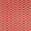 Botanic Trellis Fabric-65400667