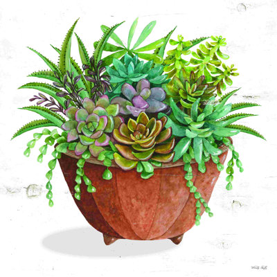 Terre cuite succulentes I
