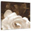 Jardin Harnek Gardenia-109210020