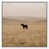 White Floater Frame