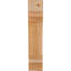 Corbeau Pescadero-1571285246-1571285244-1571285261