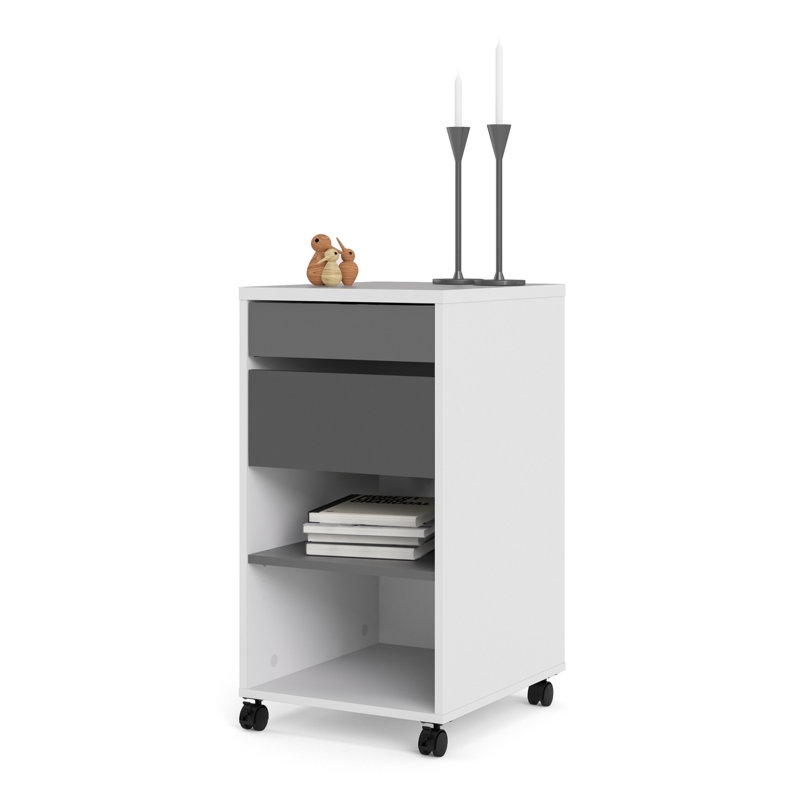 Cynthiaann 40.2 cm W 2 -Drawer Filing Cabinet