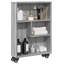 Ricaria 68cm H x 48cm W Bookcase-1511602890