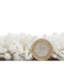 Nathanson area rug Machine Woven Rectangle White-1907961296