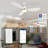 Elazar 52'' Ceiling Fan with LED Lights-765181022