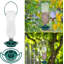 Canuet Hanging Hopper Bird Feeder