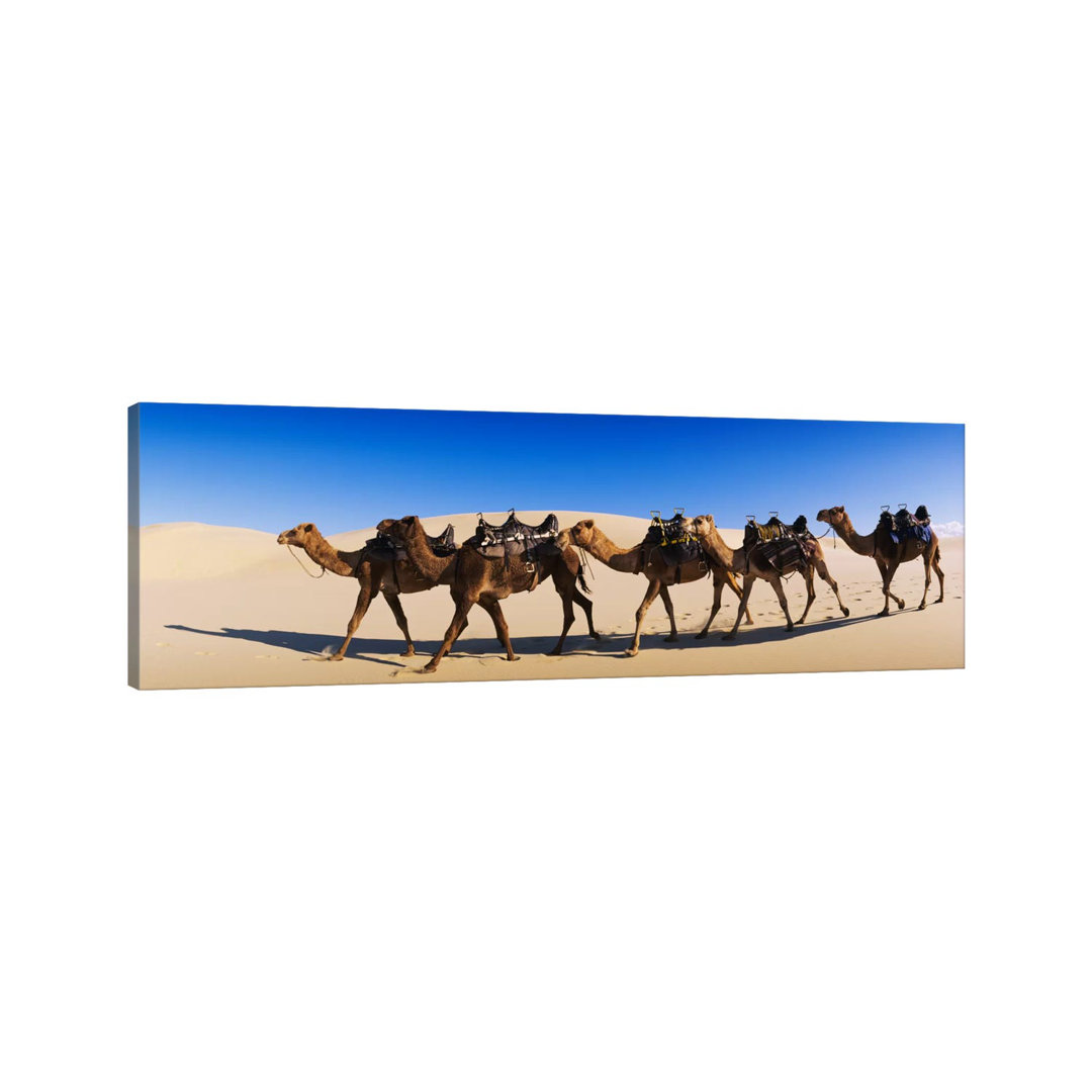 Camels Walking In The Desert - Wrapped Canvas Panoramic Print
