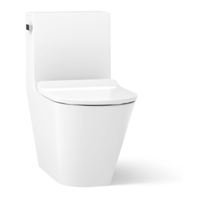 Toilette ronde une pièce écoénergétique Brazn 1,28 GPF (siège inclus)