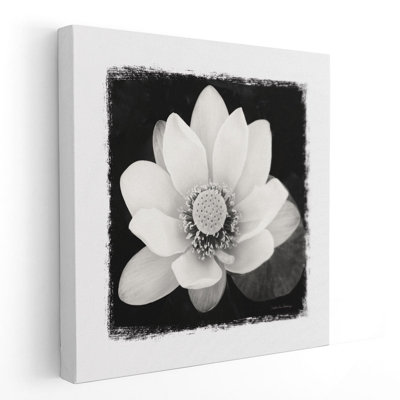 Fleur de lotus II, noir et blanc, reproduction d'art sur toile