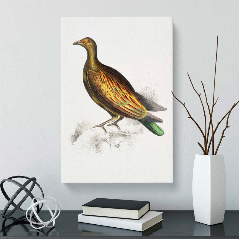 Chinese Tippeted Pigeon Illustration by John Edward Gray - Wrapped Canvas, 60cm H x 40cm W x 3cm D