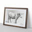 Study of a Bull by Jean Bernard - Framed Print-55615655-55615657