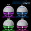 Globe aromatique