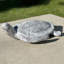 Décoration murale tortue
