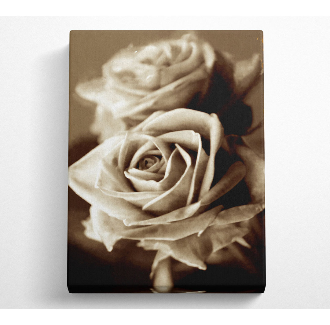 Sonnige Sepia-Rosen - Druck