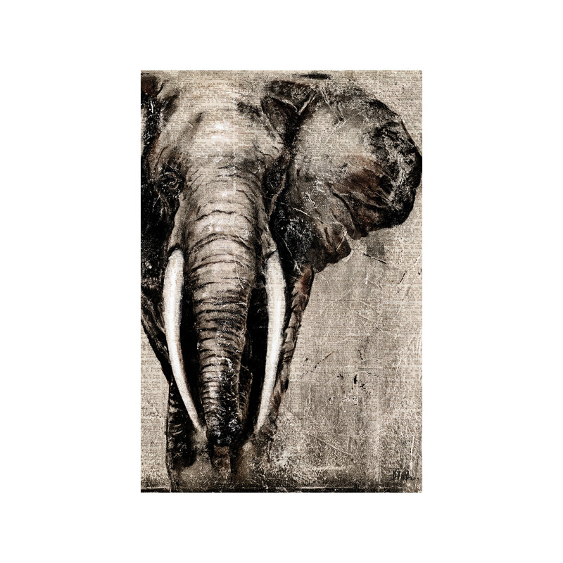 Elephant On Newspaper by Patricia Pinto - Wrapped Canvas Print, 101.6 cm H x 66.04 cm W x 1.91 cm D